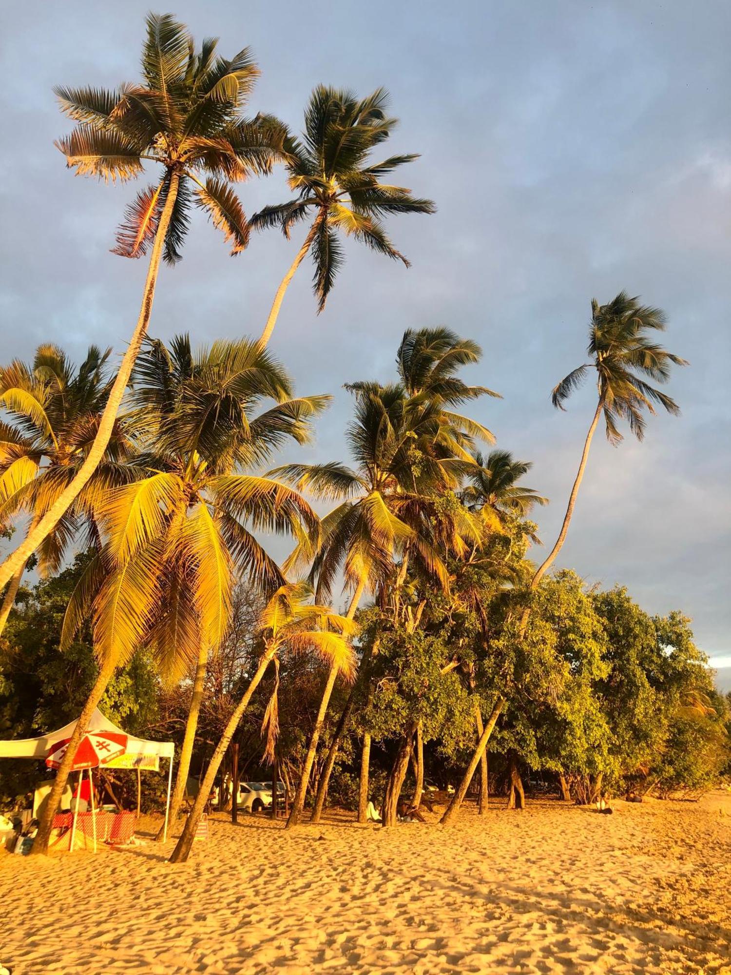 Beau T4 Refait A Neuf Proche Plage Sainte-Anne Buitenkant foto